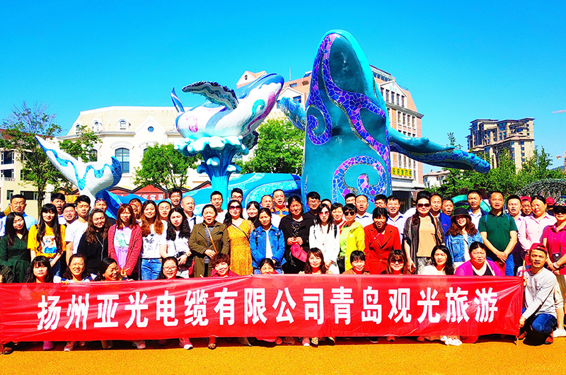 Công ty TNHH Cáp Dương Châu Yaguang