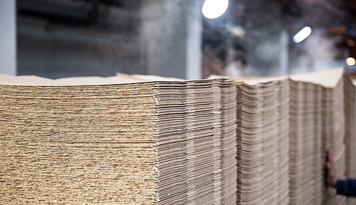 Dự án bột giấy Nhật Chiếu Sơn Đông