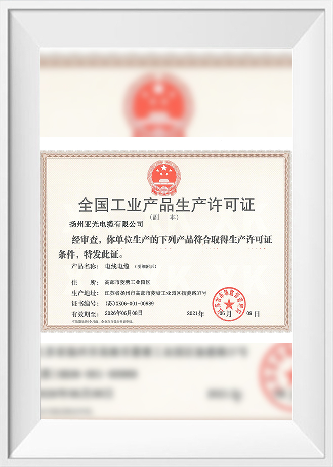 Giấy phép sản xuất năm 2021